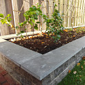 Vijverrand 30x100x3cm Bluestone